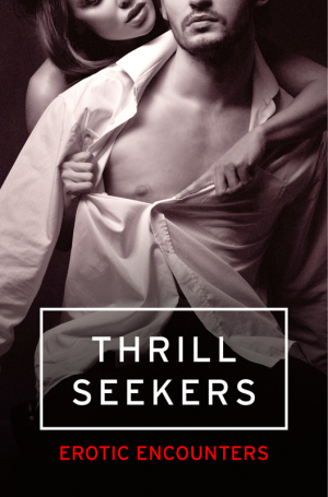 Thrill Seekers: Erotic Encounters фото №1