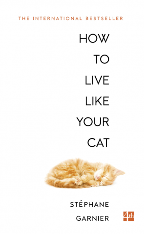 How to Live Like Your Cat фото №1