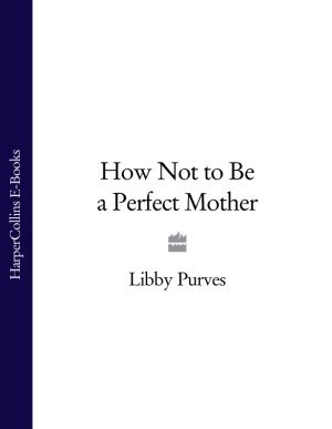 How Not to Be a Perfect Mother фото №1