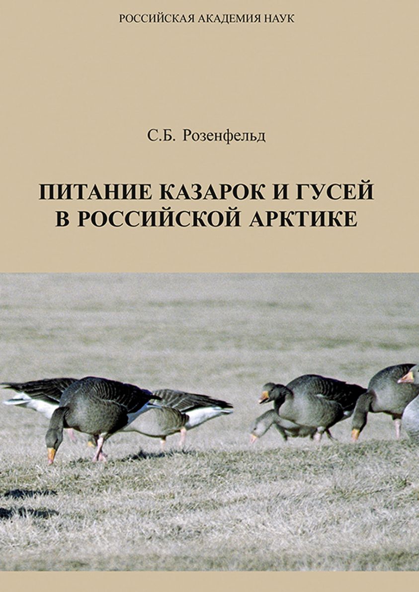 Питание казарок и гусей в Российской Арктике фото №1
