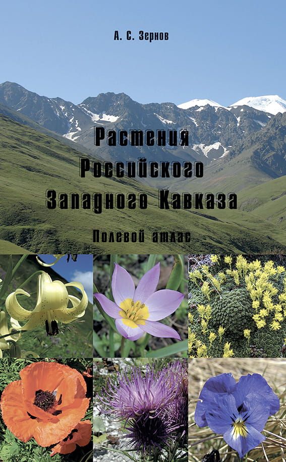 Растения Российского Западного Кавказа. Полевой атлас фото №1