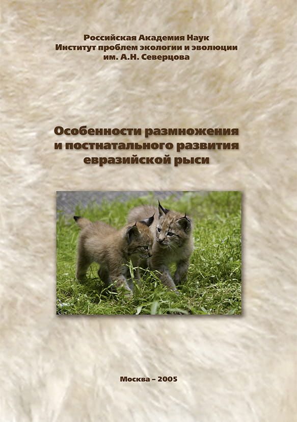 Особенности размножения и постнатального развития евразийской рыси фото №1