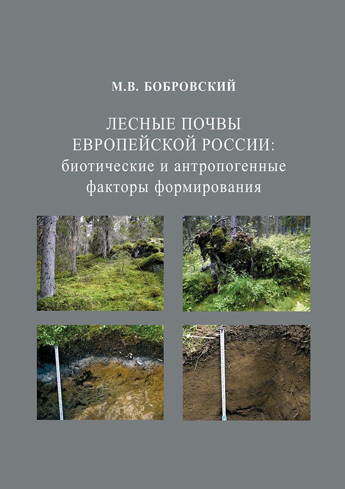 Лесные почвы Европейской России: биотические и антропогенные факторы формирования фото №1