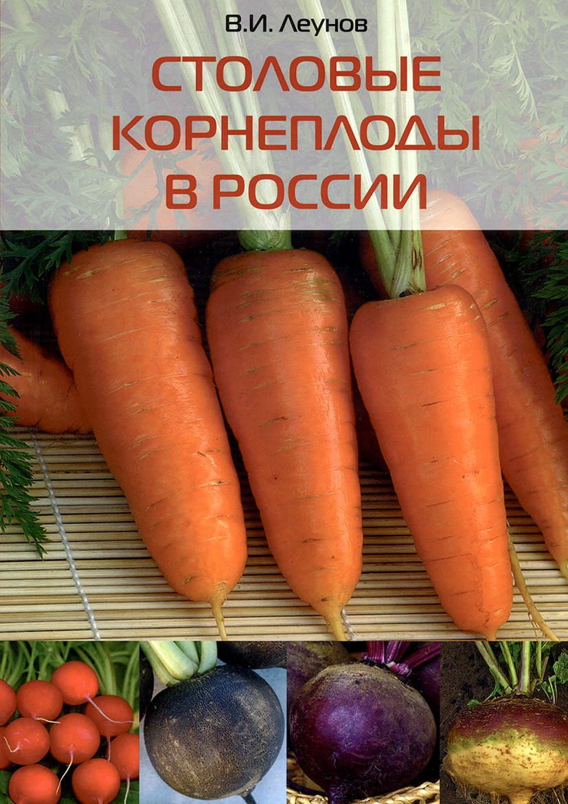 Столовые корнеплоды в России фото №1