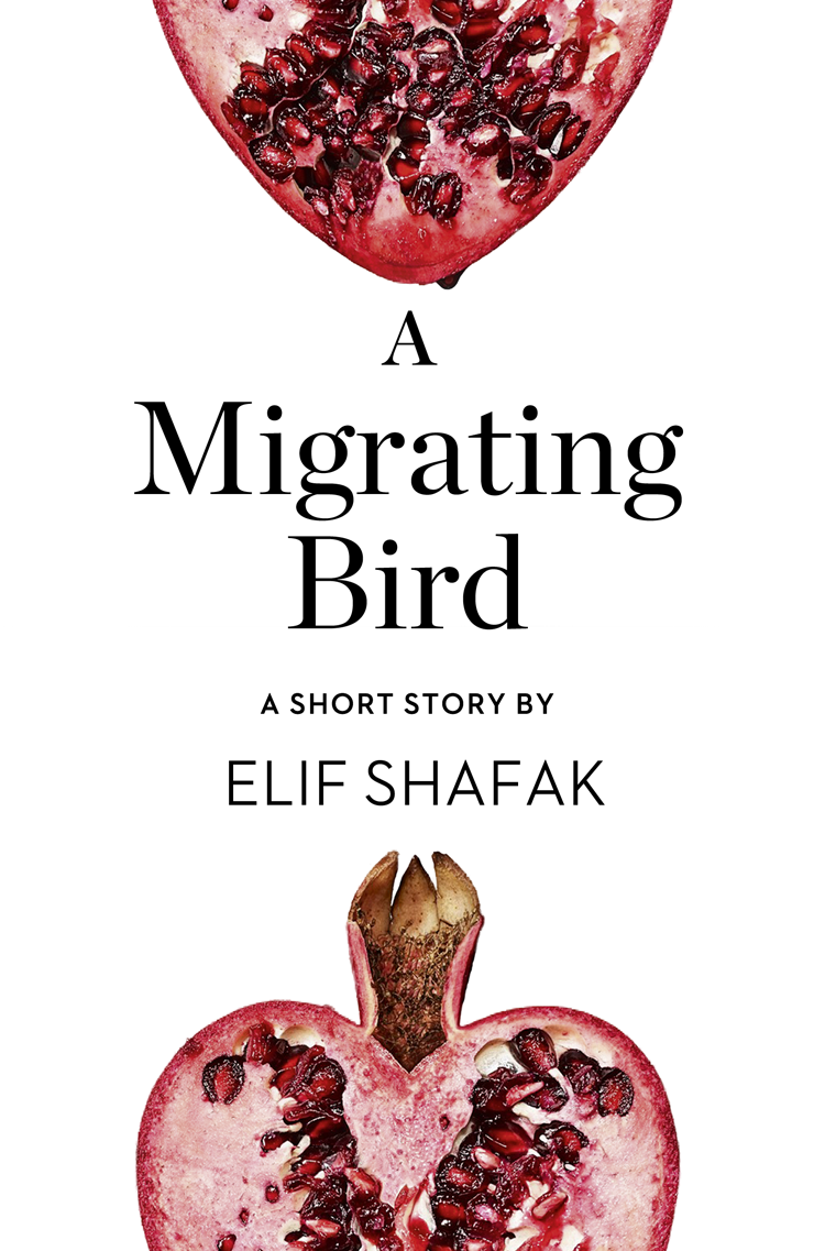 A Migrating Bird: A Short Story from the collection, Reader, I Married Him фото №1