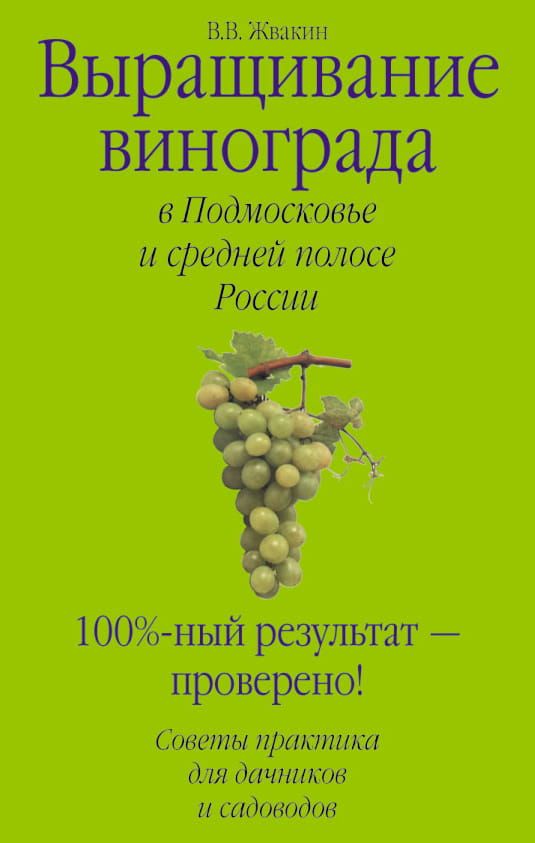 Выращивание винограда в Подмосковье и средней полосе России фото №1