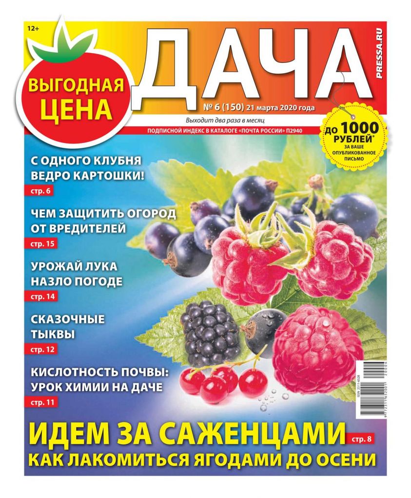 Дача Pressa.ru 06-2020 фото 2