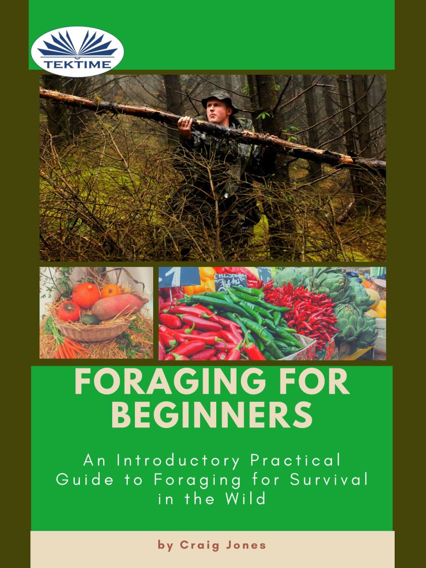 Foraging For Beginners фото №1
