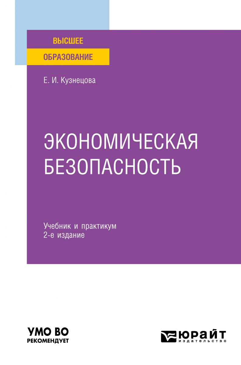 Экономическая безопасность 2-е изд. Учебник и практикум для вузов фото №1